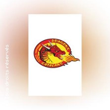 Dragons Catalans