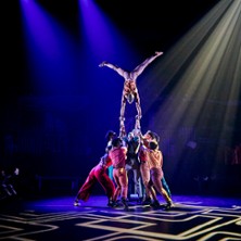 Zip Zap Circus