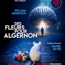 Des Fleurs pour Algernon - Th&eacute;&acirc;tre du Roi Ren&eacute; - Salle du Roi, Avignon