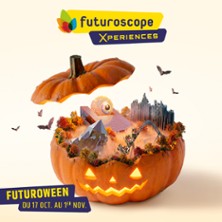 Futuroscope - Billet 1 Jour Dat&eacute;