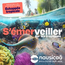 Nausica&aacute;